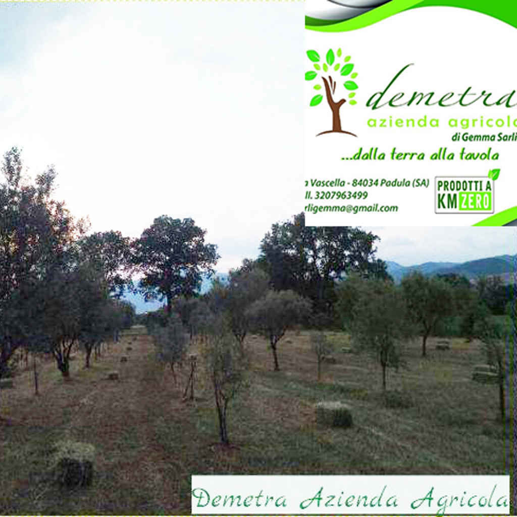 Demetra Az. Agricola di Gemma Sarli a Km0