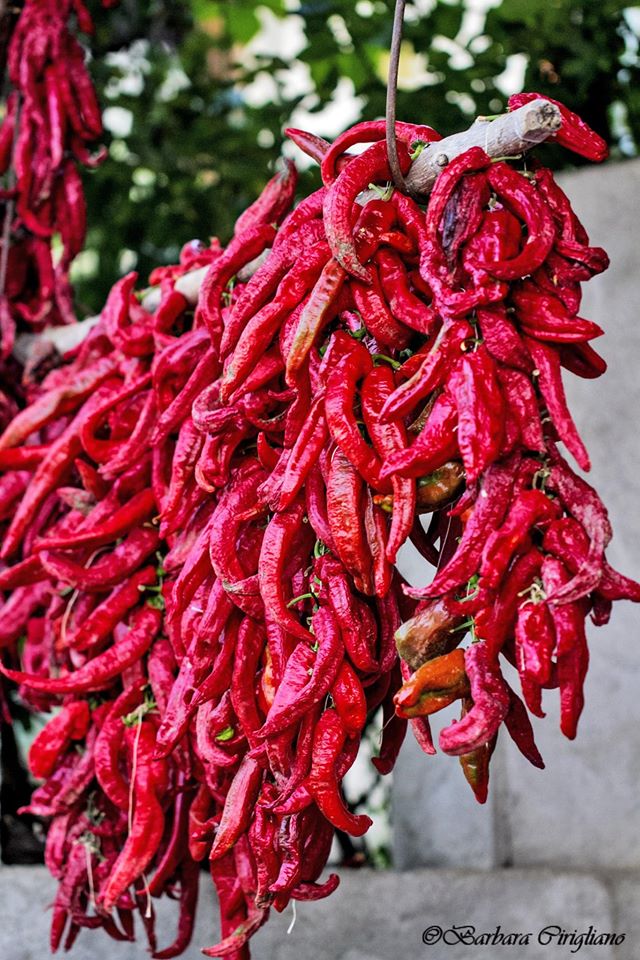 Peperoni cruschi o secchi tipici lucani