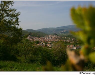 Made in Italy è Sviluppo locale del territorio artigianato agroalimentare turismo