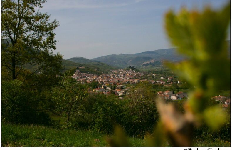 Made in Italy è Sviluppo locale del territorio artigianato agroalimentare turismo